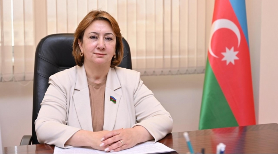 konstitusiya-ve-suverenlik-ili-humanizme-soykenen-guclu-dovlet-ve-tarixi-amnistiya-qerari