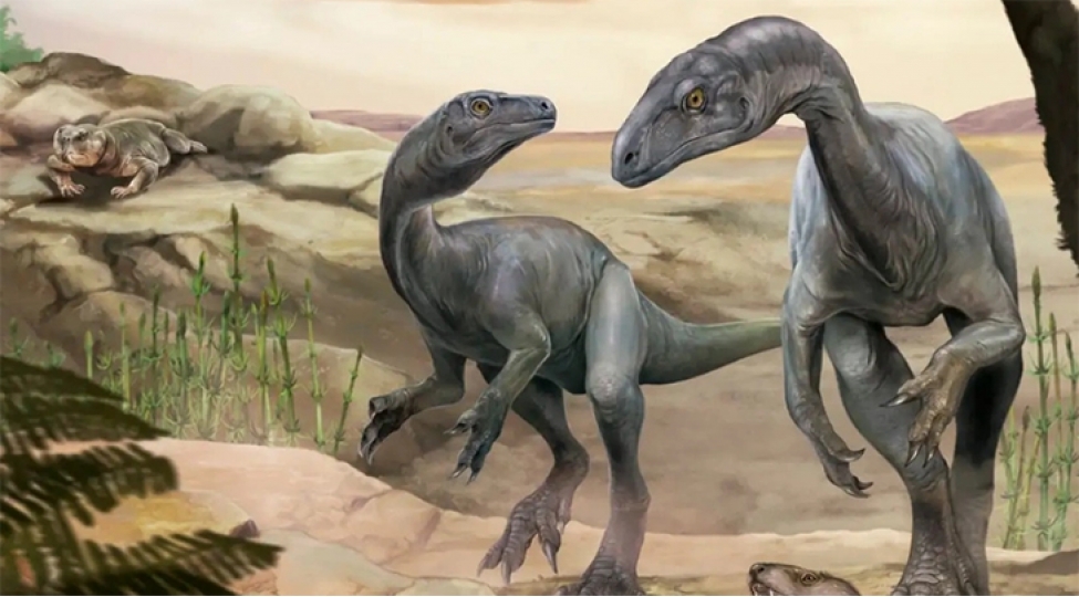 argentinada-en-qedim-dinozavrlardan-birinin-qaliqlari-ashkarlanib