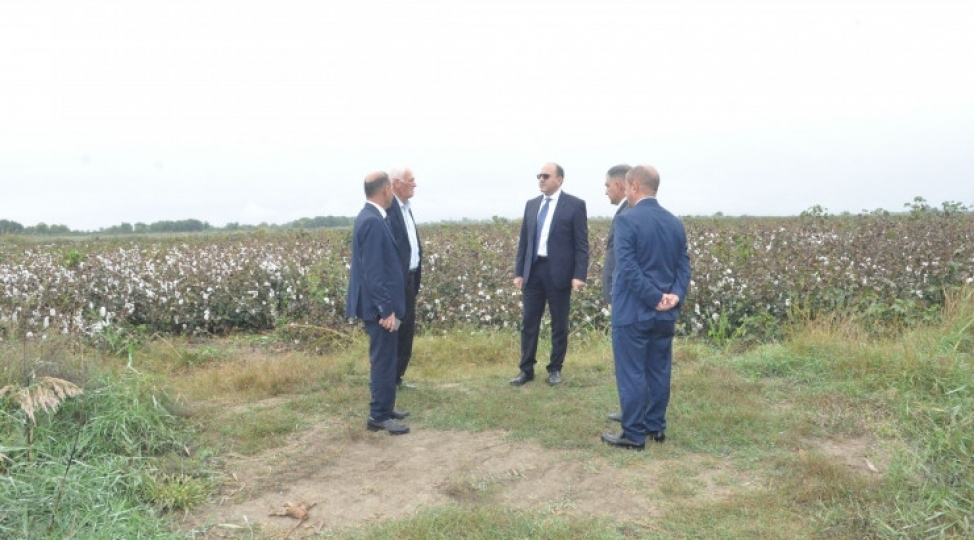 akia-sedri-zerdabda-vetendashlari-qebul-edib-teserrufatlara-bash-chekib