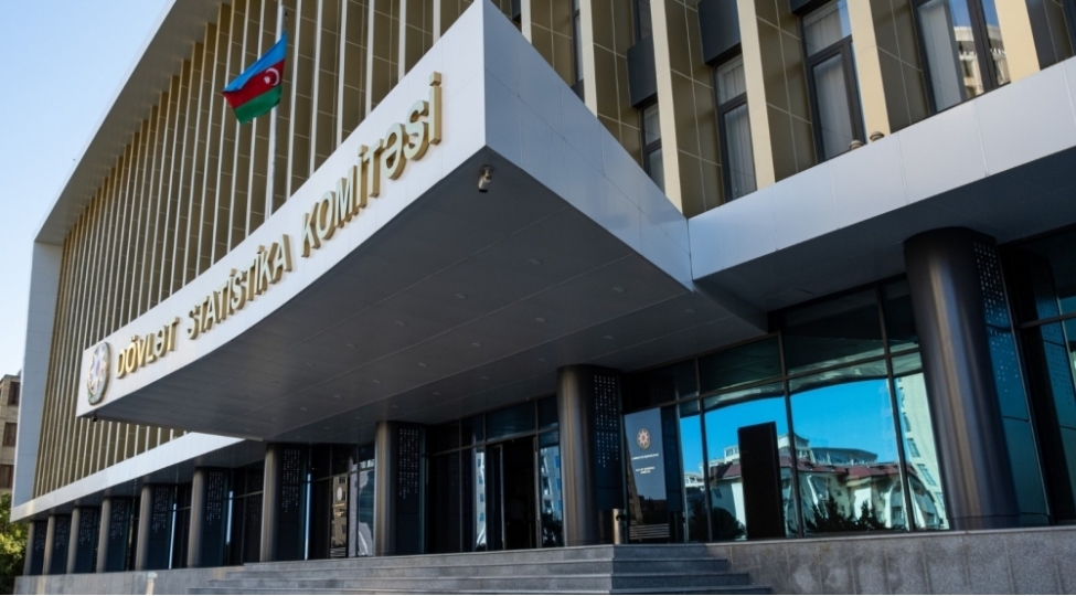 muasir-dovrde-statistik-melumatlarin-ehemiyyeti