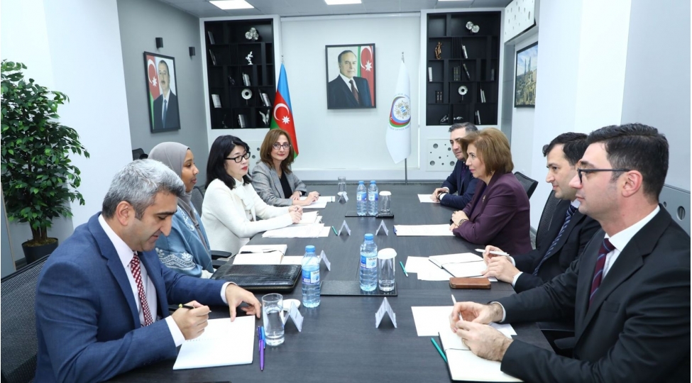 bahar-muradova-ve-bmt-nin-qadinlar-uzre-agentliyinin-numayendesi-arasinda-emekdashliq-imkanlari-muzakire-edilib