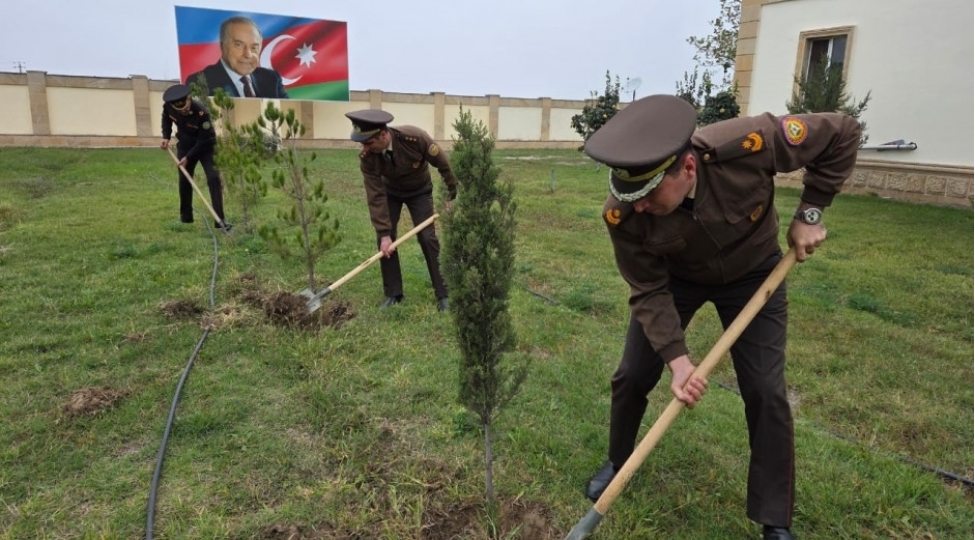 fhn-in-aran-regional-merkezi-agacekme-aksiyasi-kechirib