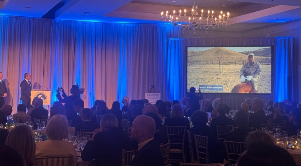 vashinqtonda-anama-emekdashina-ve-onun-itine-ilin-minaaxtaran-it-komandasi-mukafati-teqdim-edilib