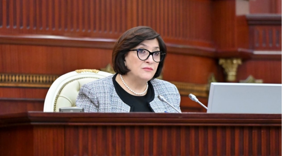 sahibe-qafarova-prezidentin-azerbaycan-dili-ile-bagli-seslendirdiyi-fikirler-alimlerin-uzerine-yeni-vezifeler-qoyub