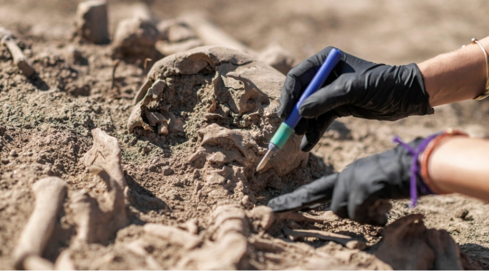 qedim-primat-alimleri-teeccublendirib