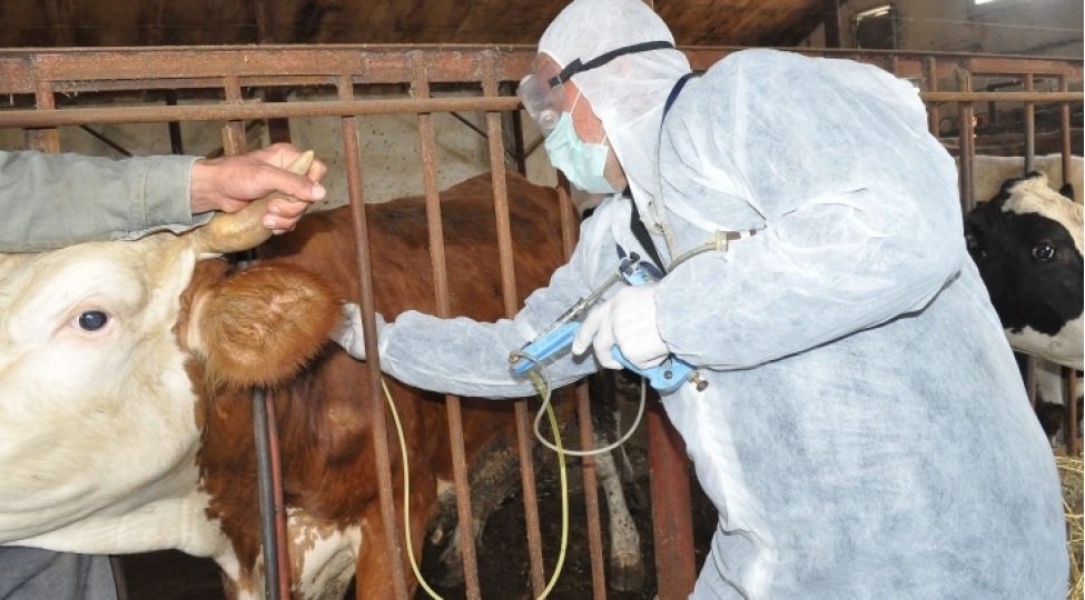 dabaq-xesteliyine-qarshi-nezaret-guclendirilir