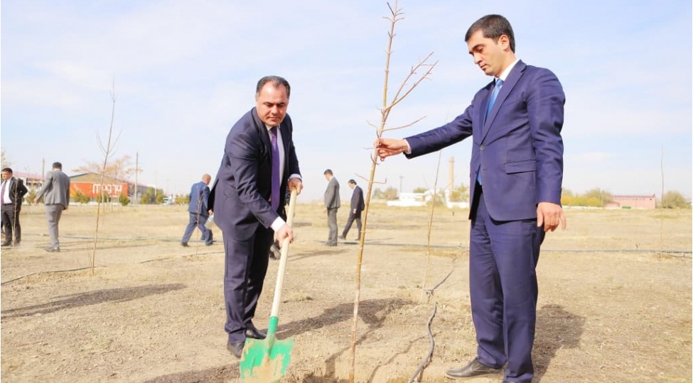 naxchivan-sheher-icra-hakimiyyetinin-teshkilatchiligi-ile-agacekme-aksiyasi-kechirilib