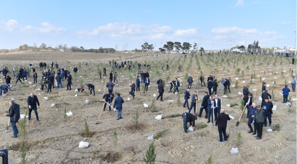 zefer-gunu-munasibetile-ceyranbatan-su-anbarinin-erazisinde-agacekme-aksiyasi-teshkil-edilib