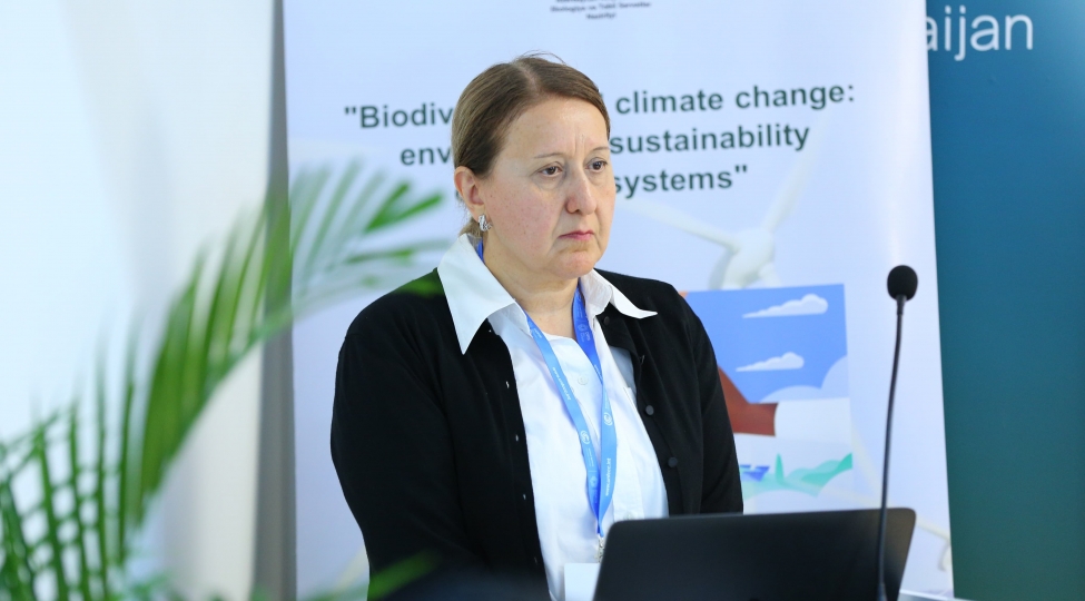 cop29-dan-cop30-a-uzanan-etimad-ve-emekdashliq-korpusu-bakidan-beleme