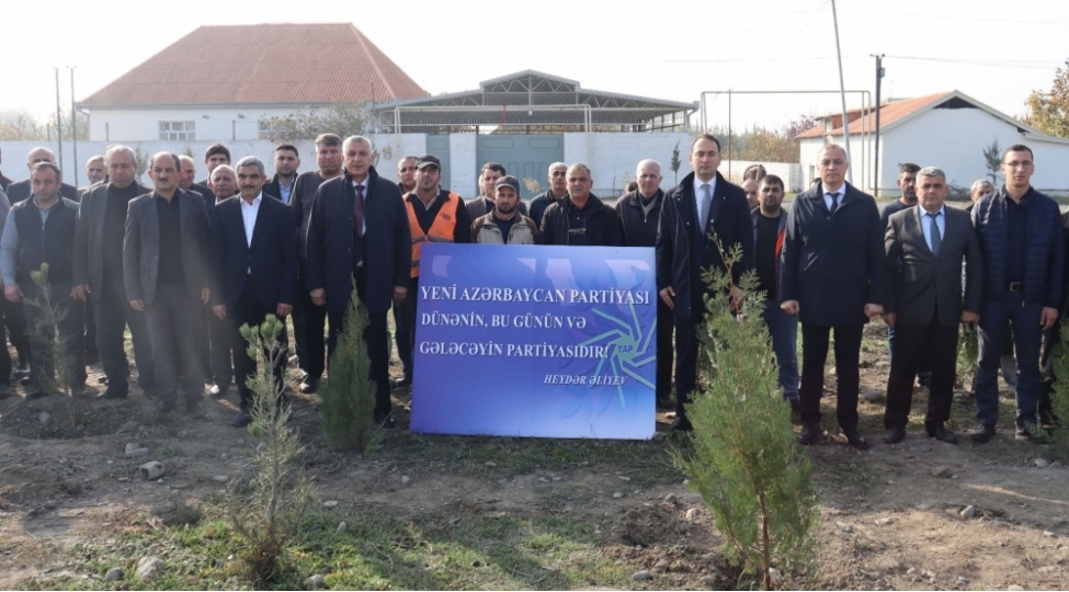 yap-agdash-rayon-teshkilatinin-teshebbusu-ile-agacekme-aksiyasi-kechirilib