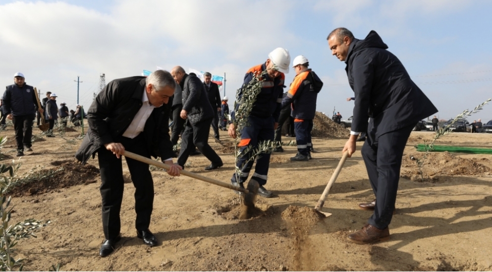 sabunchuda-yap-in-yaradilmasinin-33-illiyine-hesr-olunmush-agacekme-aksiyasi-kechirilib-foto