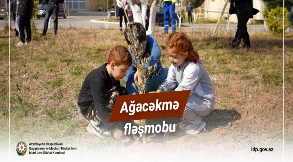 dovlet-komitesi-boyuk-qayidish-movzusundada-fleshmob-hazirlayib-video