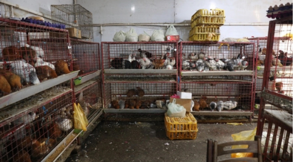 8-ci-km-bazarinda-qush-kesimi-yerinin-fealiyyeti-dayandirilib