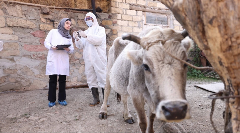 dashkesen-ve-goygol-rayonlarinda-aqrar-inkishafa-destek-layihesi-ugurla-davam-etdirilir