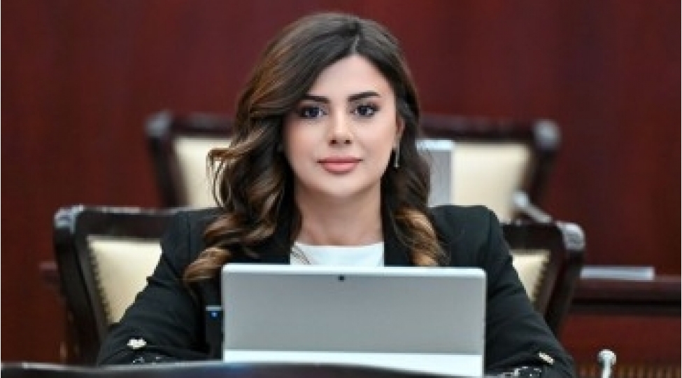 kelbecer-azerbaycanin-erazi-butovluyu-ugrunda-elde-etdiyi-mohteshem-qelebe