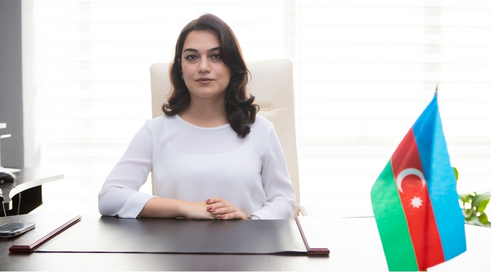 modern-infrastruktur-reqemsal-xidmetler-ve-peshekar-tibbi-heyet