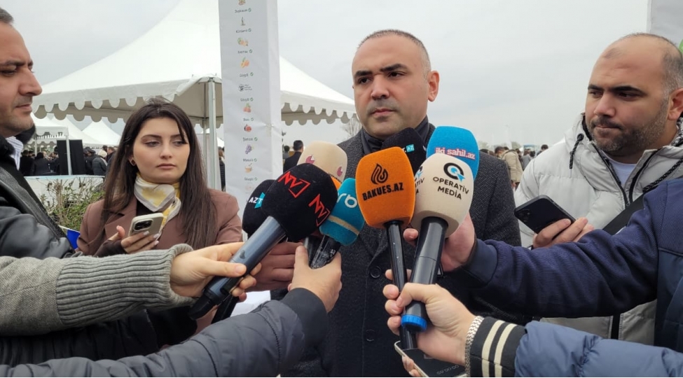 bu-festivallar-vasitesile-bolgelerde-emal-muessiselerinin-yaradilmasini-teshviq-edirik-anar-ceferov