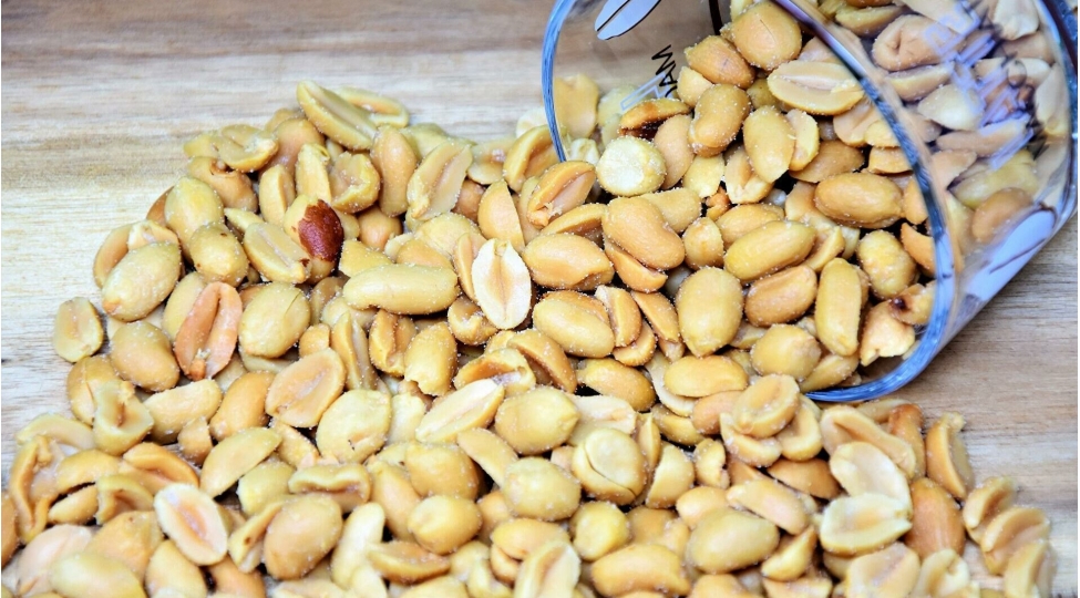 yer-fistiginin-beyin-uchun-inanilmaz-faydalari