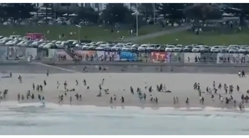 sidneyde-bash-veren-atishma-neticesinde-olenlerin-sayi-12-ye-chatib