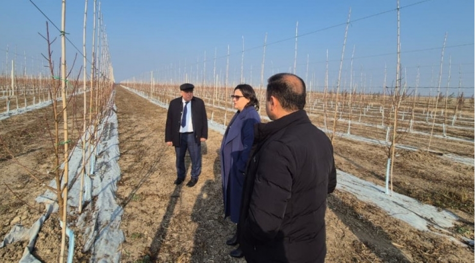 ilhame-qedimova-agcabedide-vetendashlari-qebul-edib-fermerlerle-gorushub