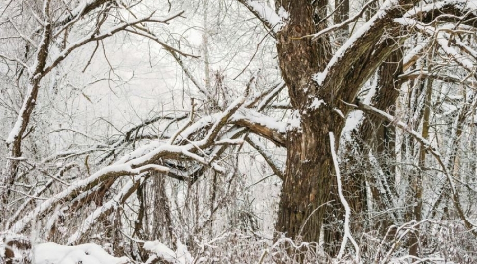 sabah-bakiya-yagish-rayonlara-qar-yagacaq