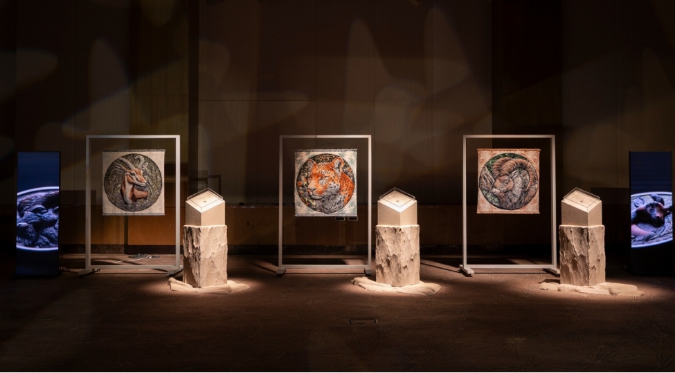 nadir-fauna-novleri-adli-yeni-nesil-sikke-ve-xalcha-kolleksiyalari-teqdim-edilib-foto