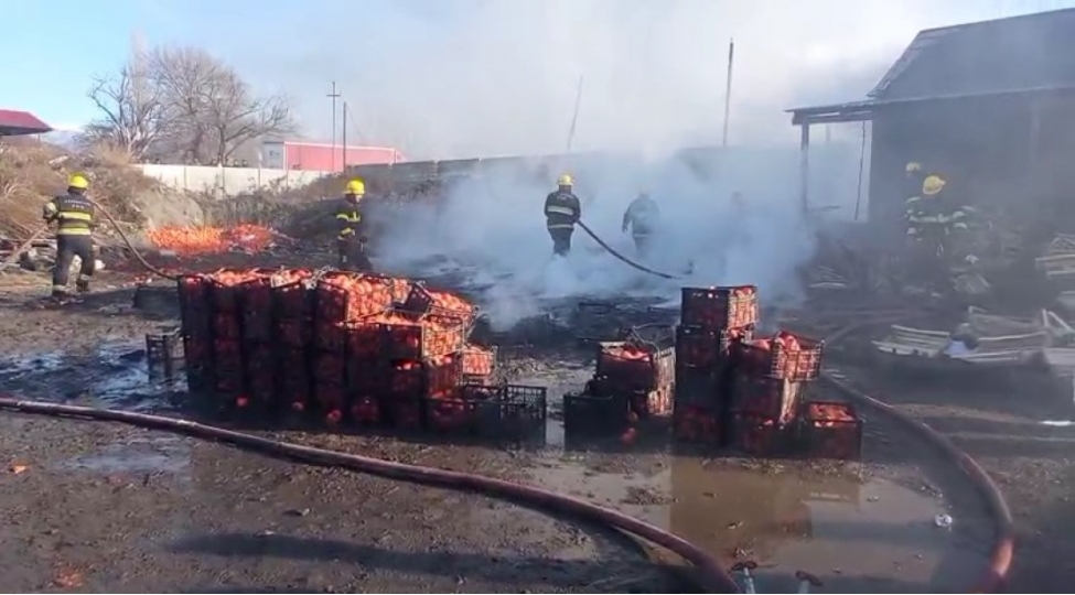 zaqatalada-xurma-istehsali-sexinde-yangin-bash-verib