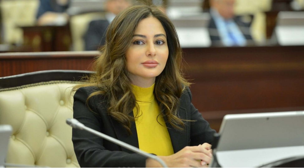 olkemiz-qlobal-chagrishlara-hazir-olmalidir