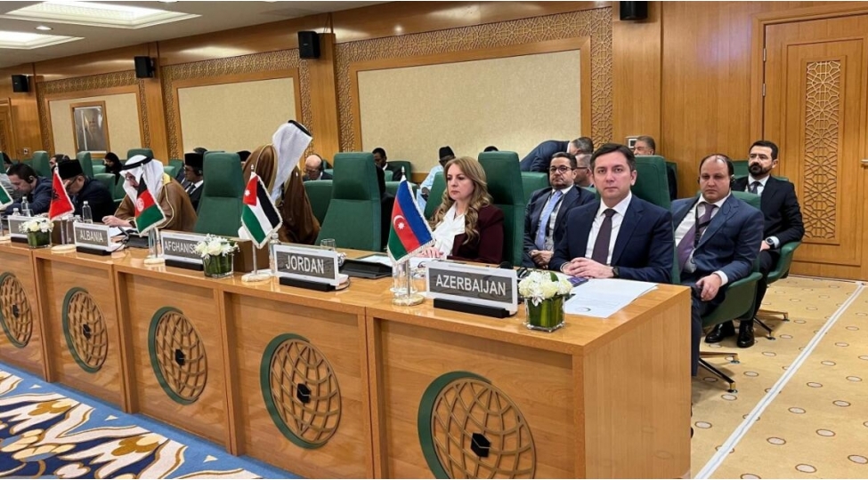 yalchin-refiyev-iet-in-somali-ile-bagli-fovqelade-iclasinda-ishtirak-edib