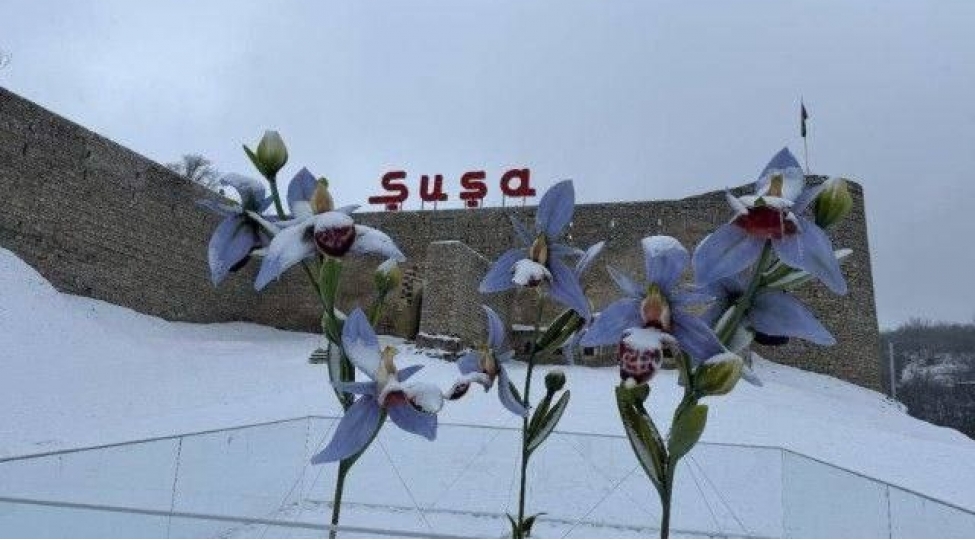 shusha-ag-orpeye-burundu-video