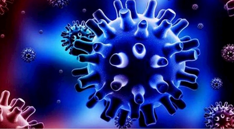 qizilca-meymunchicheyi-qush-qripi-2026-ci-ilde-gozlenilen-pandemiyalar