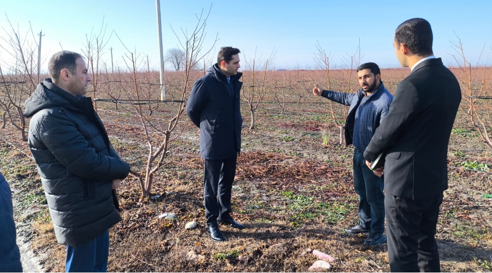 fuad-sadiqov-agsuda-vetendaslari-qebul-edib-teserrufatlara-bas-cekib