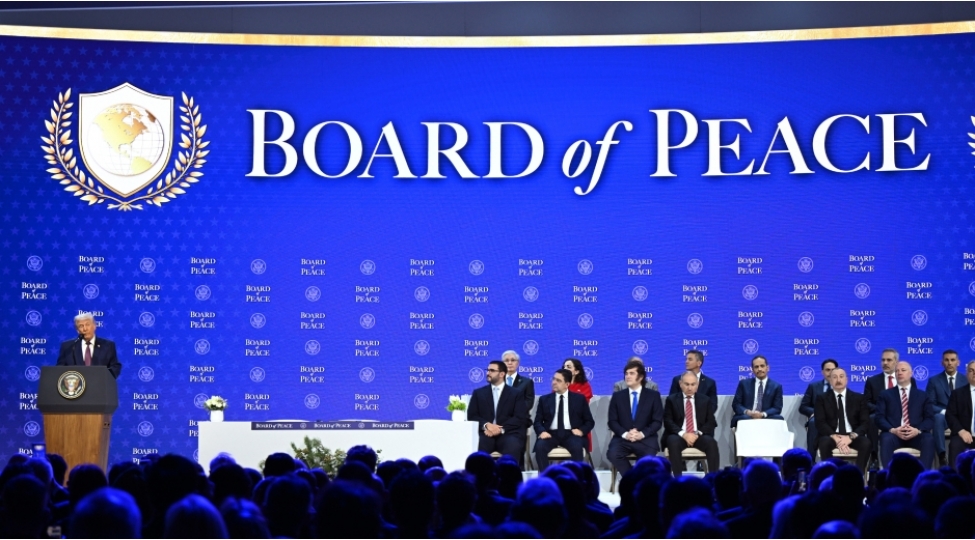 sulh-shurasinda-temsil-olunmasi-olkemize-elave-dividendler-qazandiracaq