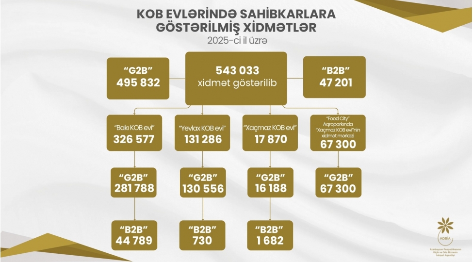 kob-evlerinde-sahibkarlara-543-minden-chox-xidmet-gosterilib