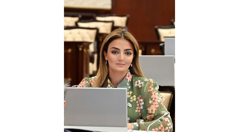 saglam-dushunceli-ve-vetenine-bagli-genclik-dovletin-dayagidir