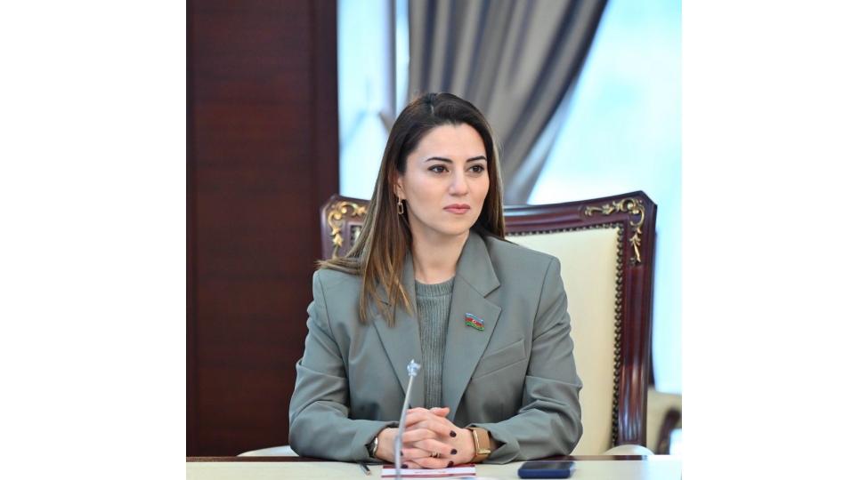 sulh-shurasinda-azerbaycanin-ishtiraki-olkemizin-movbeti-ugurudur