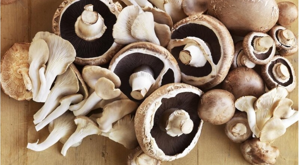 dord-nefer-zeherli-gobelekden-olub