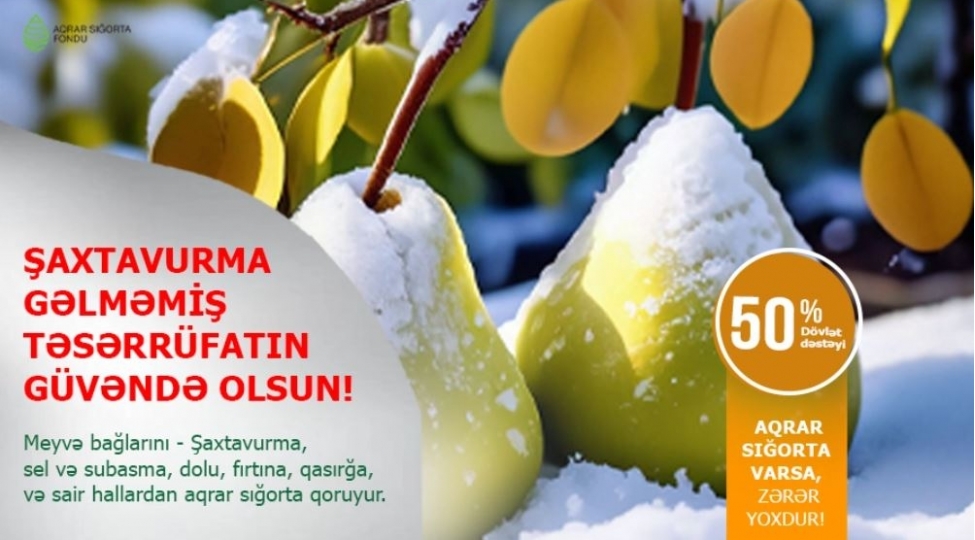 meyve-baglari-uchun-en-riskli-dovr-qish-movsumudur