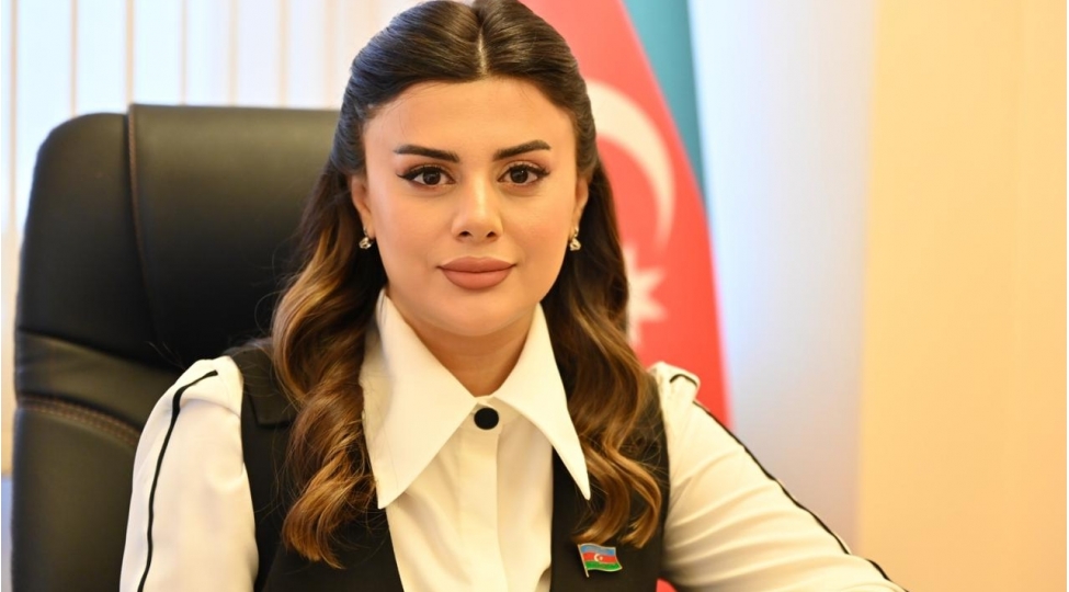 azerbaycan-hazirda-dovlet-idarechiliyini-ve-iqtisadi-inkishaf-modelini-reqemsal-transformasiya-uzerinde-qurmaga-chalishir