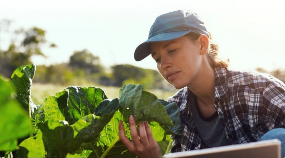 kimler-aqrar-sigorta-eksperti-ola-biler-ixtisaslar-ve-telebler