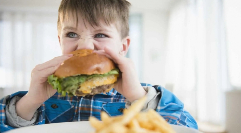 kolbasa-ve-konfetle-qidalanma-ushaqlarda-iq-seviyyesinin-azalmasina-sebeb-olur