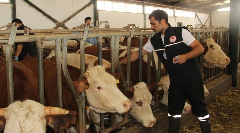 dabaq-xesteliyine-gore-mehelleler-karantine-alindi