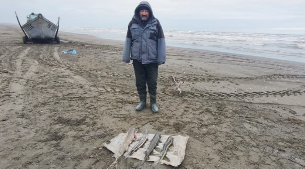 qanunsuz-baliq-ovuna-qarshi-mubarize-tedbirleri-davam-etdirilir