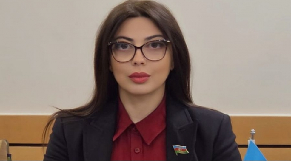 sebine-salmanovaya-qdiet-de-vezife-verilib