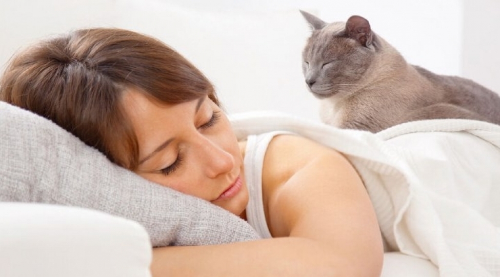 pishikler-insanlarin-yeni-umid-qapisidir