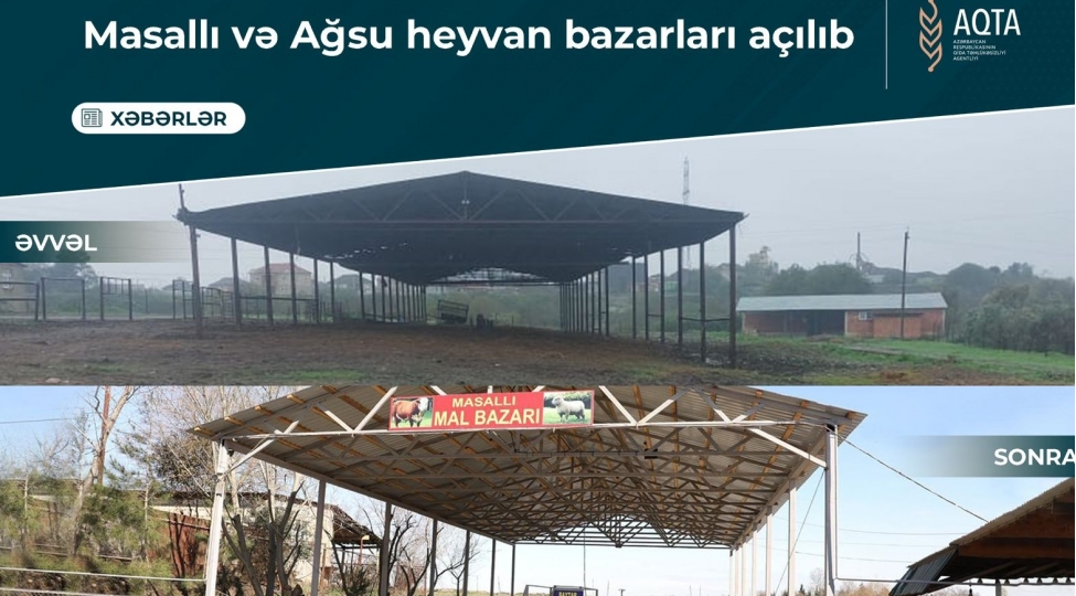 masalli-ve-agsu-heyvan-bazarlari-achilib-video