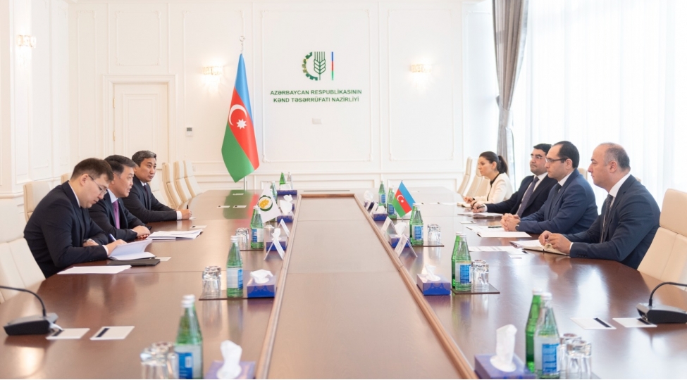 nazir-mecnun-memmedov-erzaq-tehlukesizliyi-uzre-islam-teshkilatinin-bash-direktoru-berik-arin-ile-gorushub