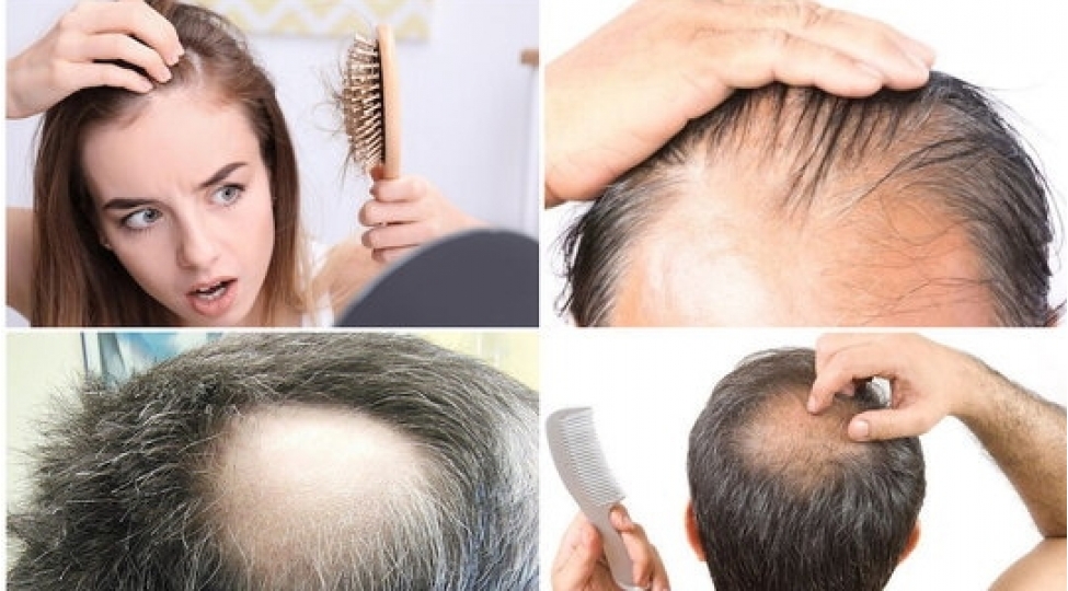 sachlariniz-tokulurse