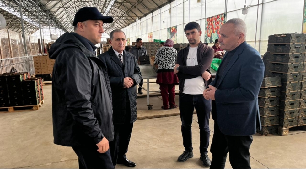 azad-ceferli-sabirabadda-vetendashlari-qebul-edib-fermerlerle-gorushub