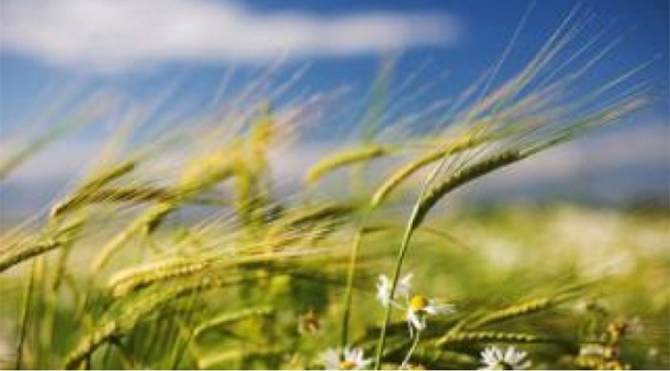 bu-gun-novruzun-uchuncu-yel-chershenbesidir